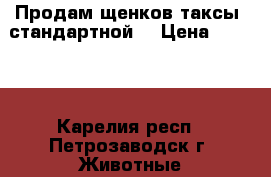 Продам щенков таксы (стандартной) › Цена ­ 4 000 - Карелия респ., Петрозаводск г. Животные и растения » Собаки   